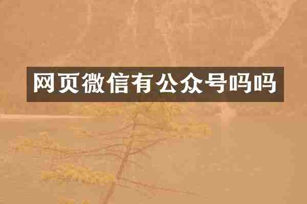 网页微信有公众号吗吗