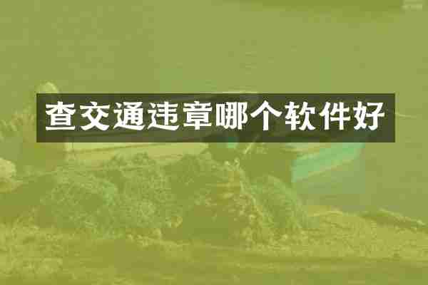 查交通违章哪个软件好
