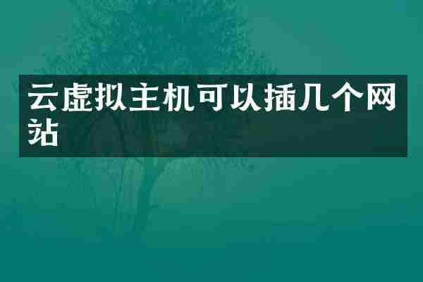 云虚拟主机可以插几个网站
