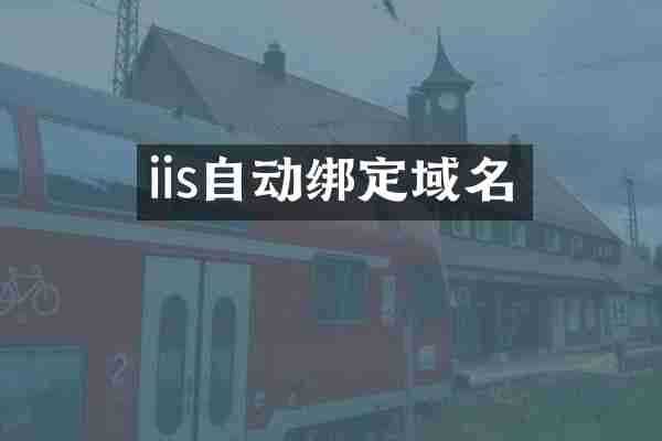iis自动绑定域名
