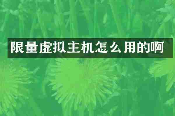 限量虚拟主机怎么用的啊