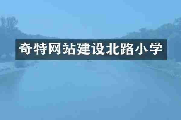 奇特网站建设北路小学