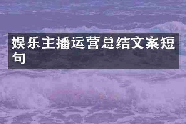 娱乐主播运营总结文案短句