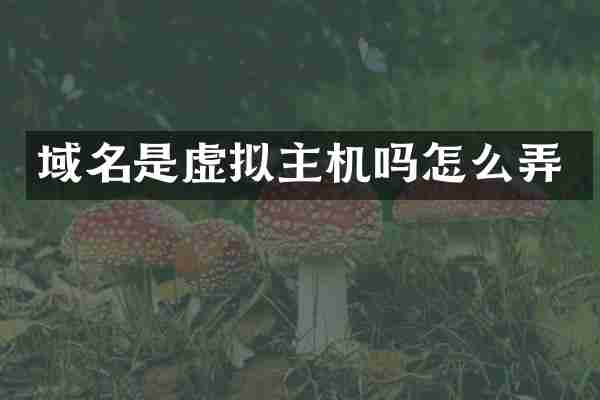 域名是虚拟主机吗怎么弄