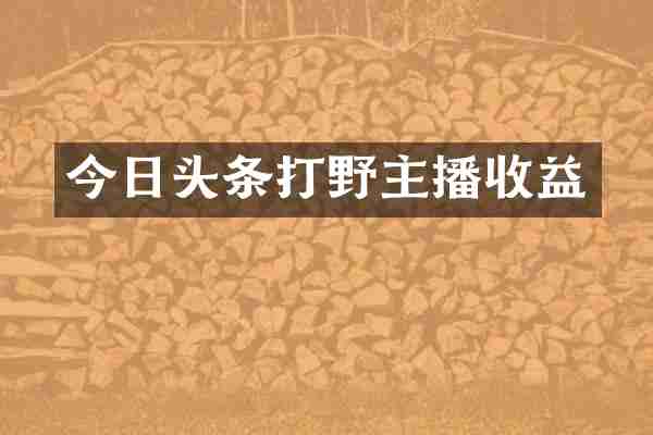 今日头条打野主播收益