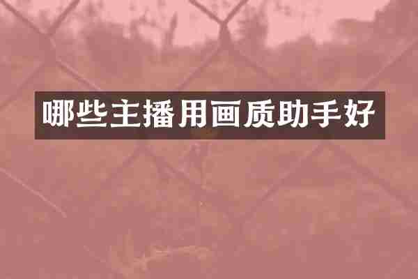 哪些主播用画质助手好