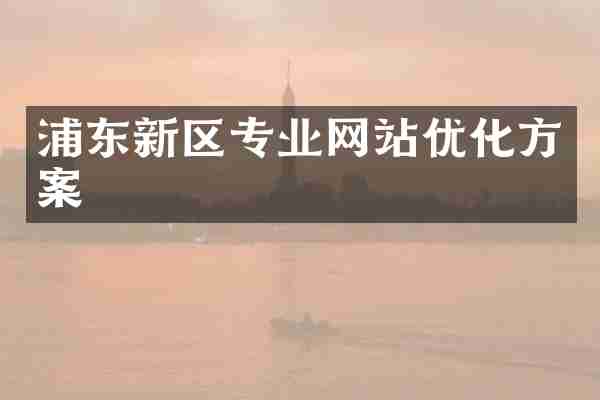 浦东新区专业网站优化方案