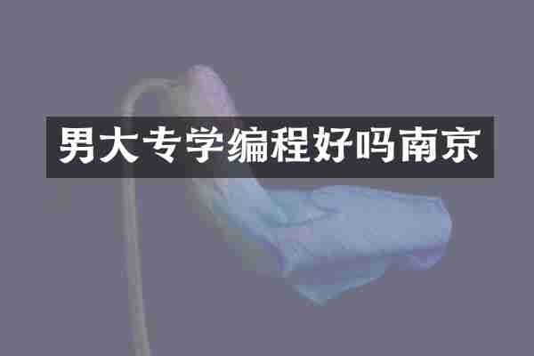 男大专学编程好吗南京