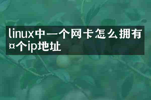 linux中一个网卡怎么拥有两个ip地址