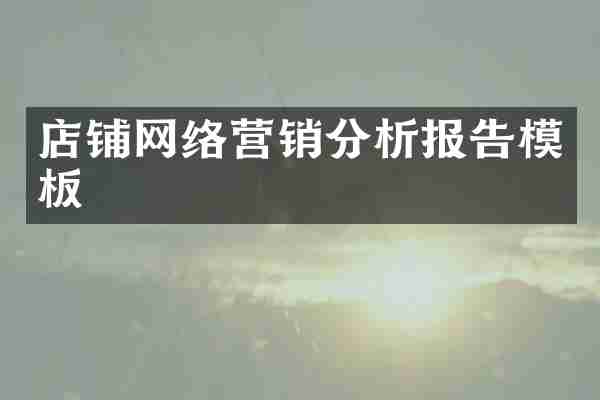 店铺网络营销分析报告模板