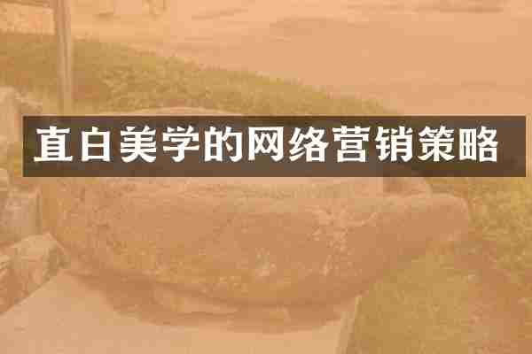 直白美学的网络营销策略