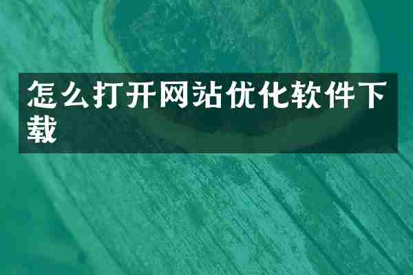 怎么打开网站优化软件下载