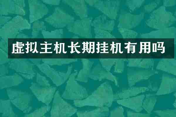 虚拟主机长期挂机有用吗