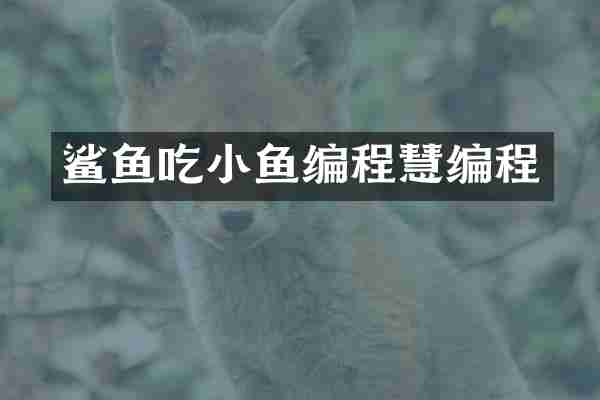 鲨鱼吃小鱼编程慧编程