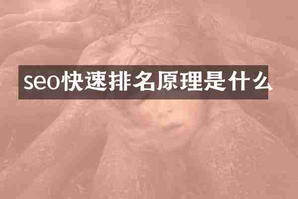 seo快速排名原理是什么