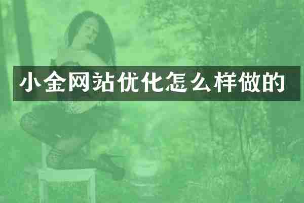 小金网站优化怎么样做的