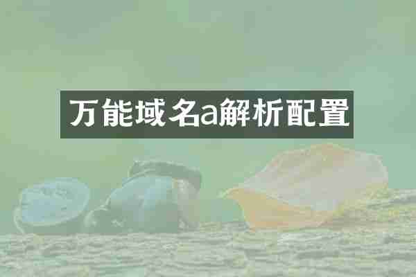 万能域名a解析配置