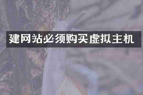 建网站必须购买虚拟主机