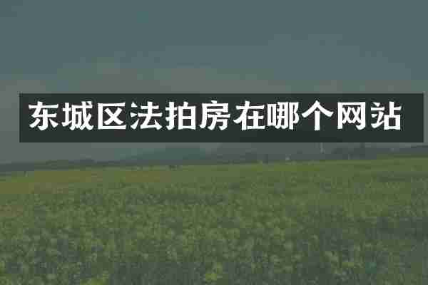 东城区法拍房在哪个网站