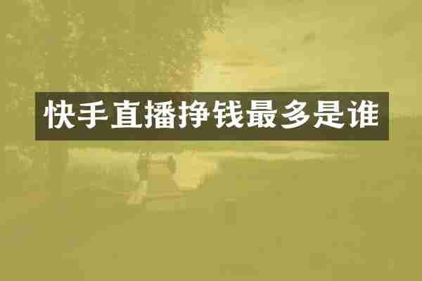 快手直播挣钱最多是谁