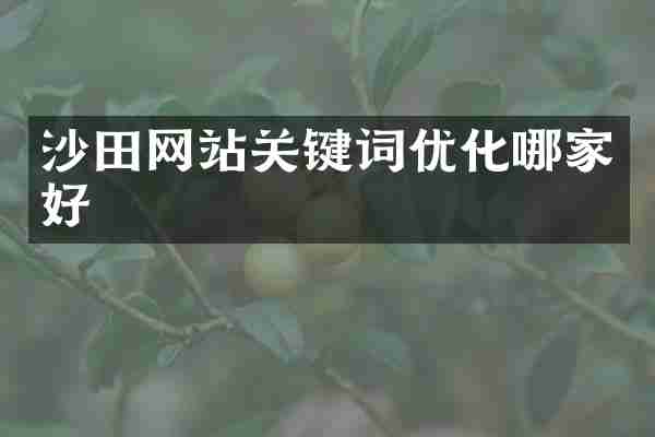沙田网站关键词优化哪家好