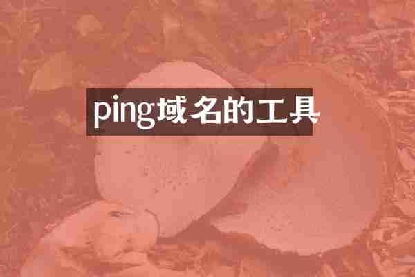 ping域名的工具
