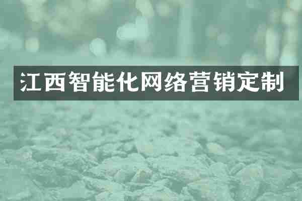 江西智能化网络营销定制