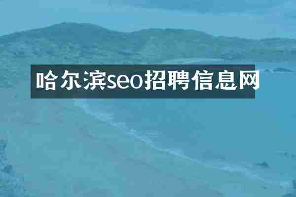 哈尔滨seo招聘信息网