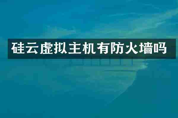 硅云虚拟主机有防火墙吗