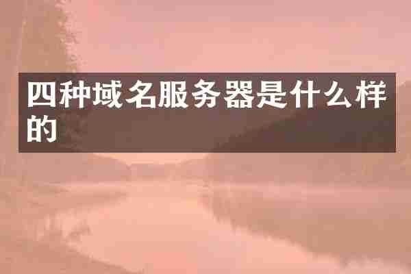 四种域名服务器是什么样的