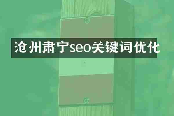 沧州肃宁seo关键词优化