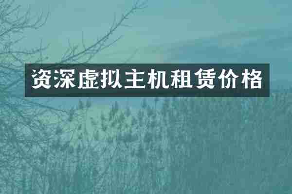 资深虚拟主机租赁价格