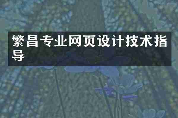 繁昌专业网页设计技术指导