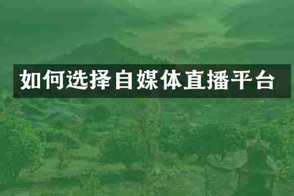 如何选择自媒体直播平台
