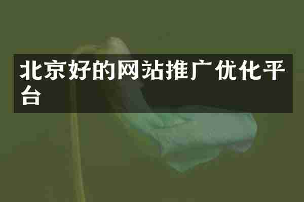北京好的网站推广优化平台