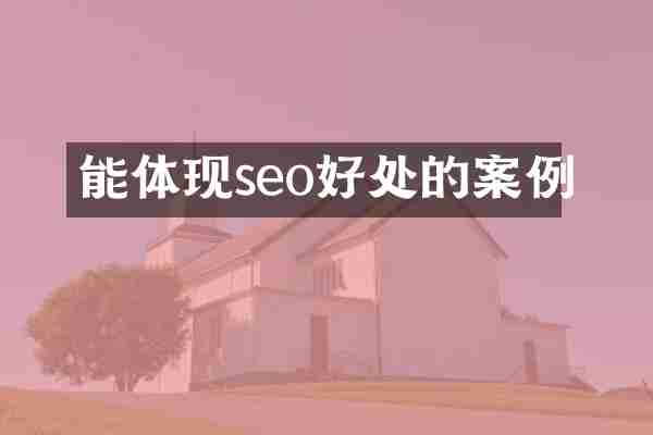 能体现seo好处的案例