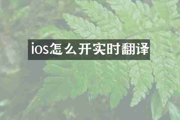 ios怎么开实时翻译
