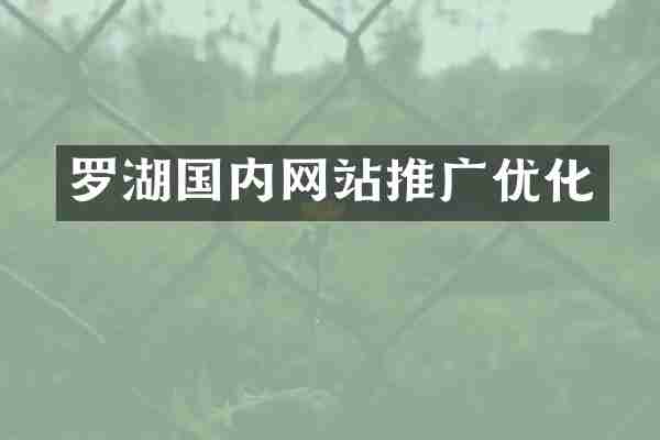 罗湖国内网站推广优化