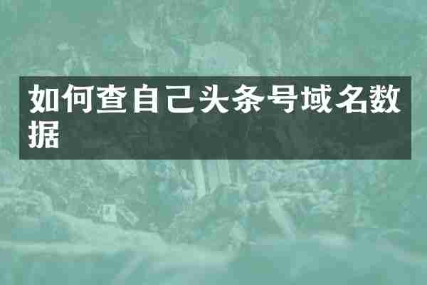 如何查自己头条号域名数据