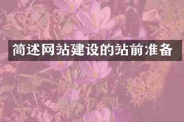 简述网站建设的站前准备