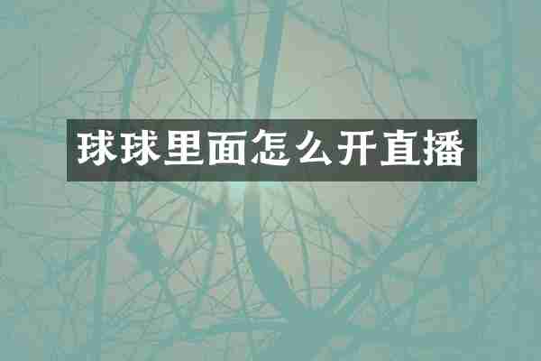 球球里面怎么开直播