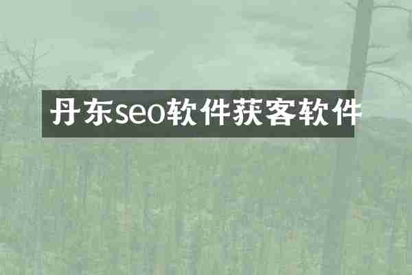 丹东seo软件获客软件