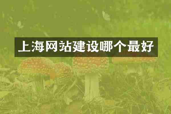 上海网站建设哪个最好