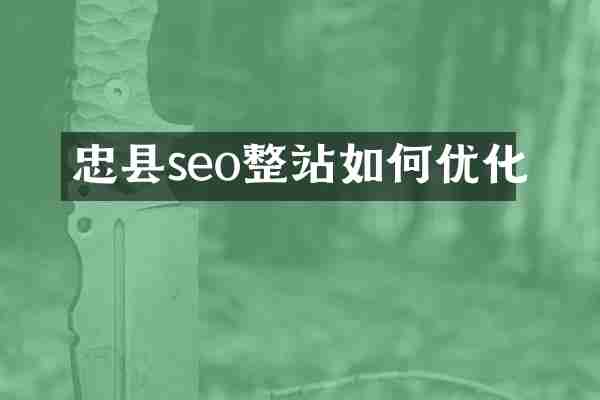 忠县seo整站如何优化