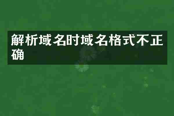 解析域名时域名格式不正确