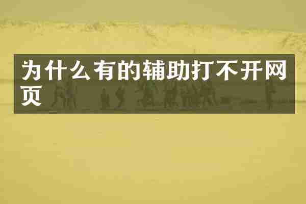 为什么有的辅助打不开网页