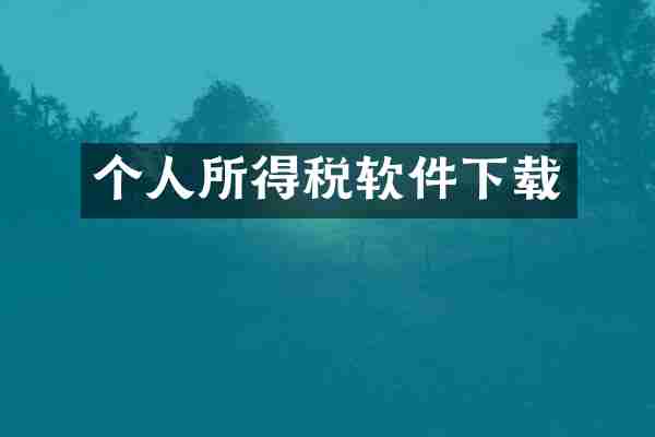 个人所得税软件下载