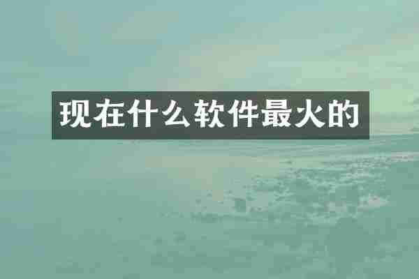 现在什么软件最火的