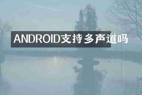 ANDROID支持多声道吗