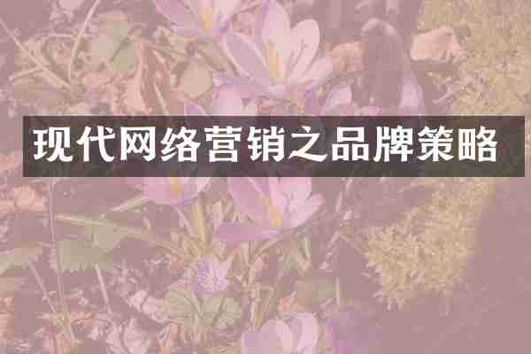 现代网络营销之品牌策略